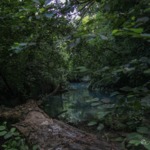 Fotos
