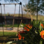 Fotos