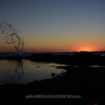 Fotos