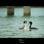 Fotos